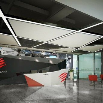 美加獅公司深圳辦公室設計